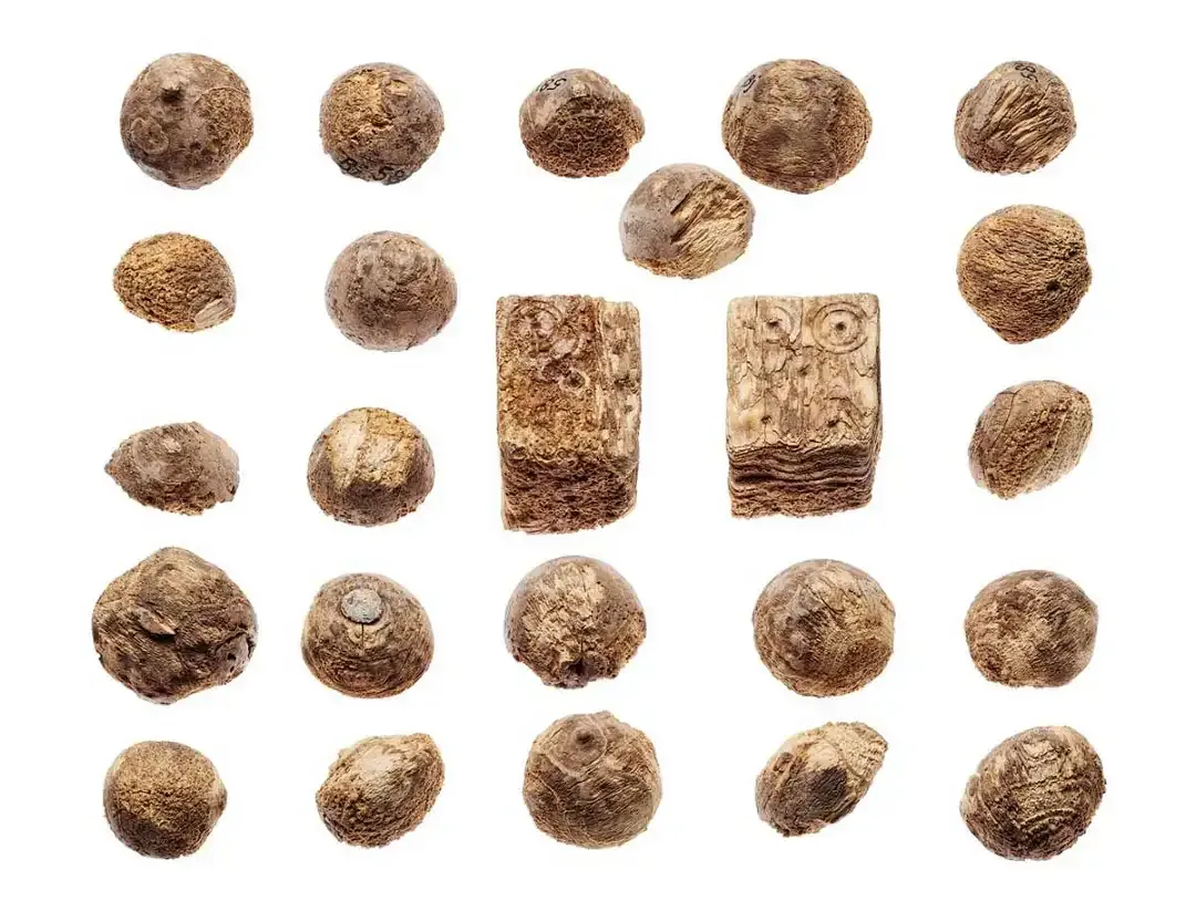 Dados de osso de baleia e peças de jogos recuperados de escavações em Birka, Suécia, via Museu Histórico Sueco, Estocolmo